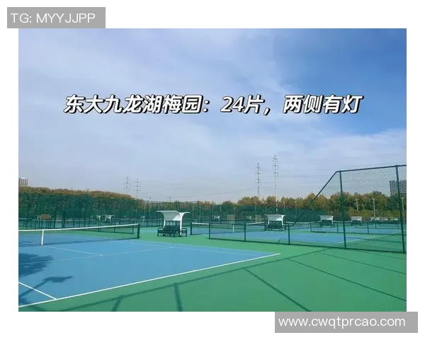 南京网球队强势崛起最新网球力量排行榜前十名揭晓