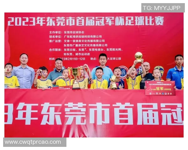 惊帆足球：探索中国足球的新篇章与未来发展之路