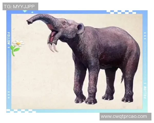 探索日版足球的魅力与发展历程，揭示其在全球足球舞台上的独特地位与影响力