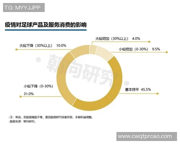探索足球直尺寸对比赛表现的影响与技术发展趋势分析